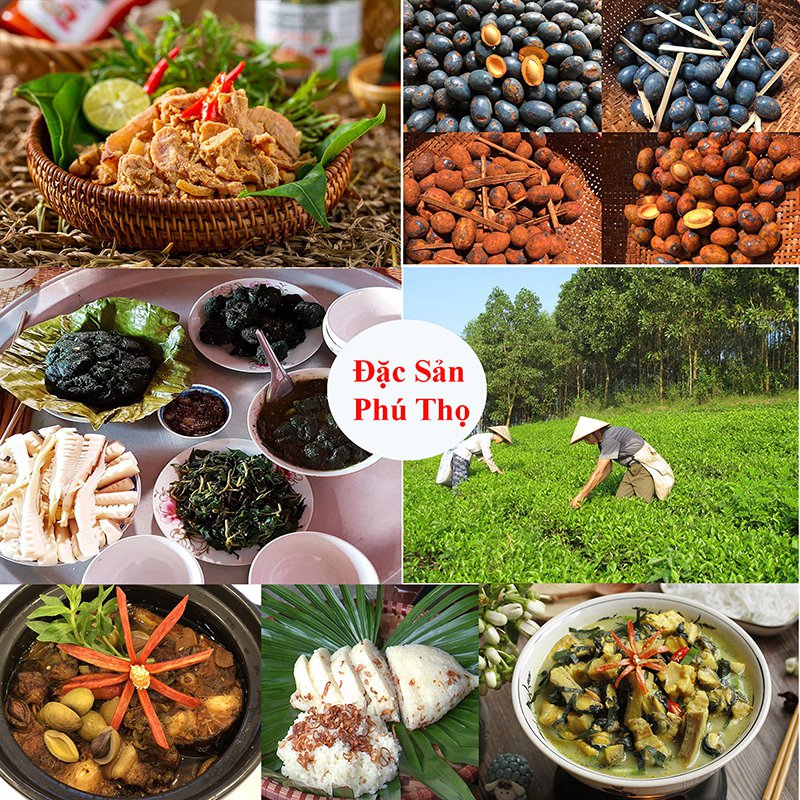 Đặc sản Phú Thọ
