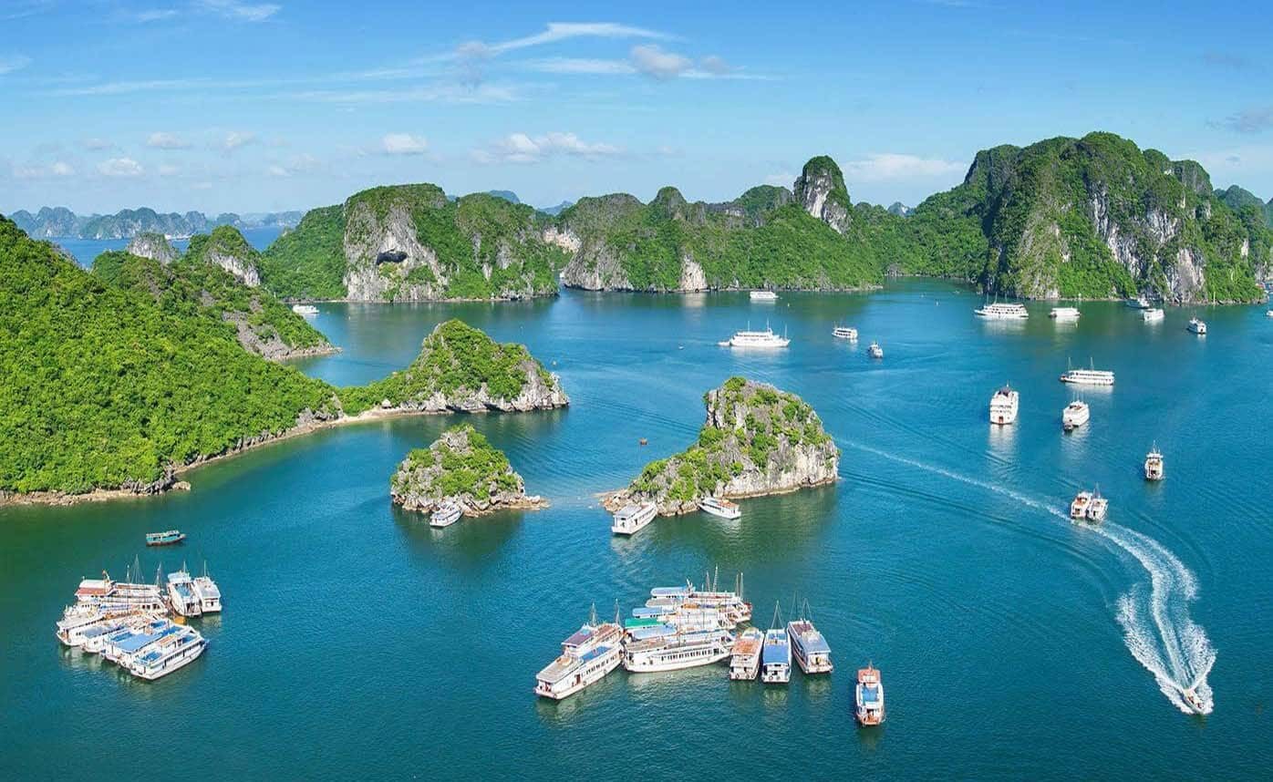 Điểm du lịch Hải Phòng nổi tiếng - Đảo Cát Bà