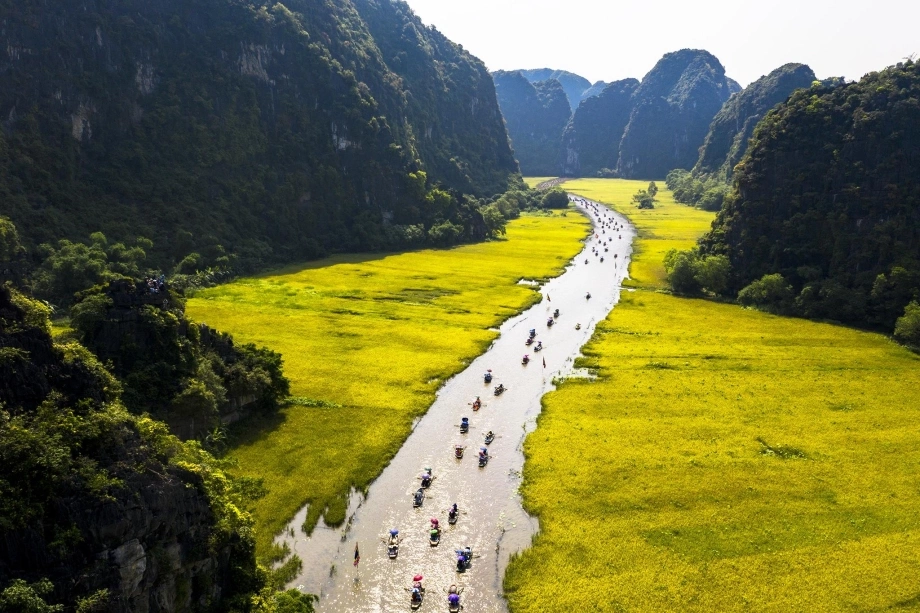 Thời tiết Ninh Bình mùa hè, du lịch Ninh Bình mùa lúa chín