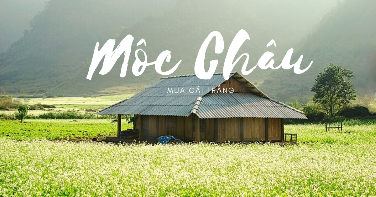 Du lịch Sơn La - Mộc Châu