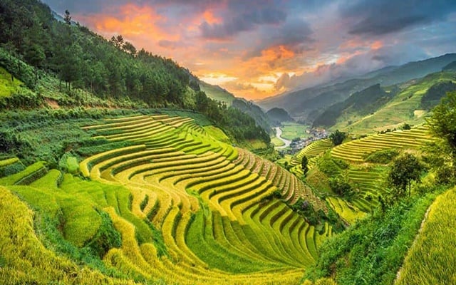 Du lịch Lai Châu mùa nào đẹp nhất? Lai Châu mùa lúa chín