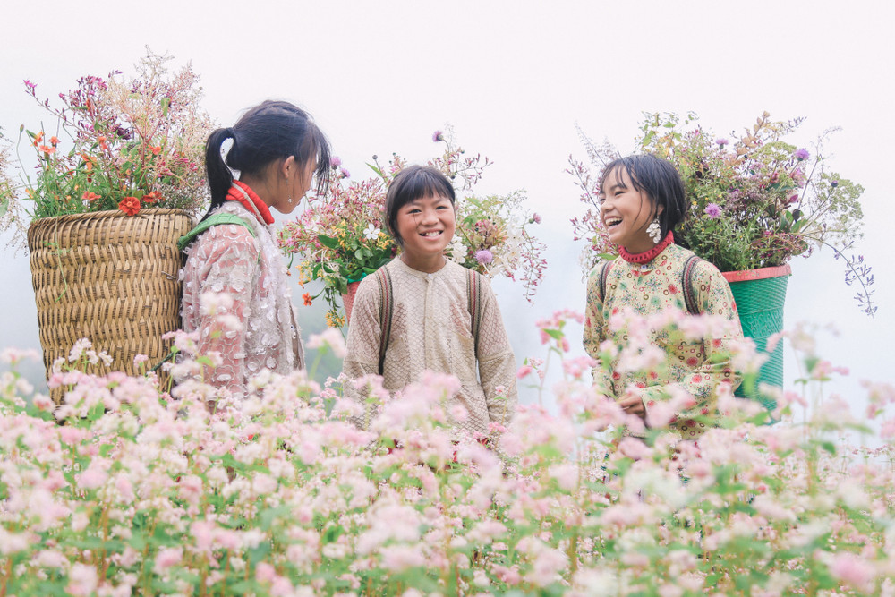 Mùa hoa Tam Giác Mạch Hà Giang