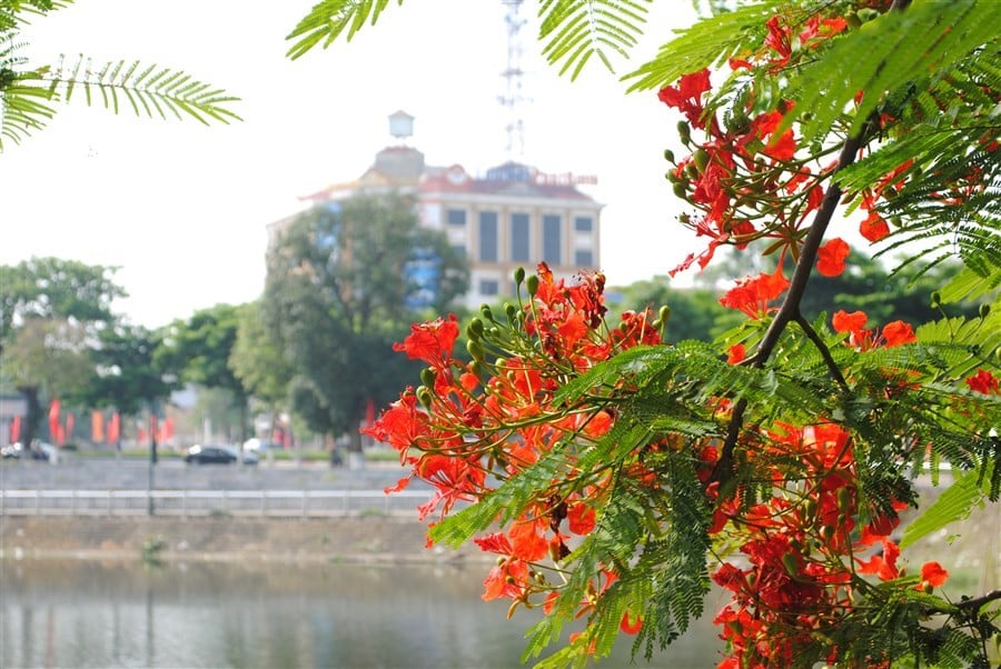 Thời tiết Hải Phòng mùa hè