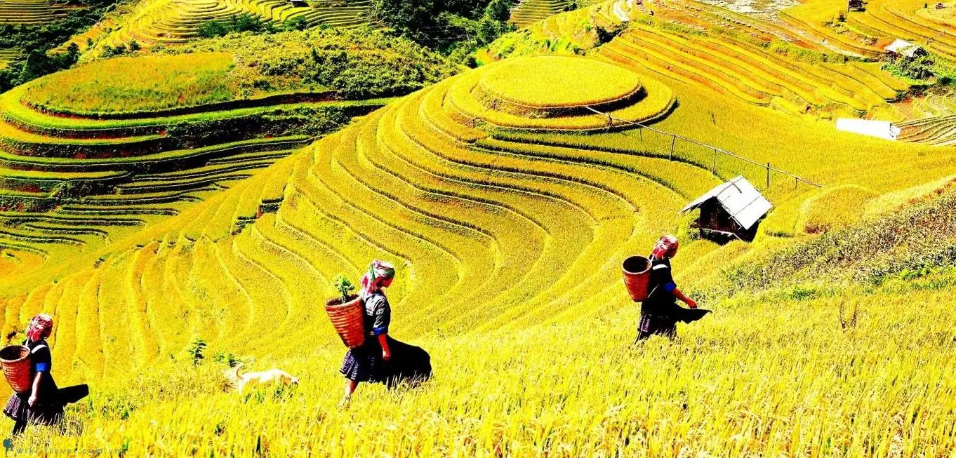 Địa điểm du lịch Yên Bái