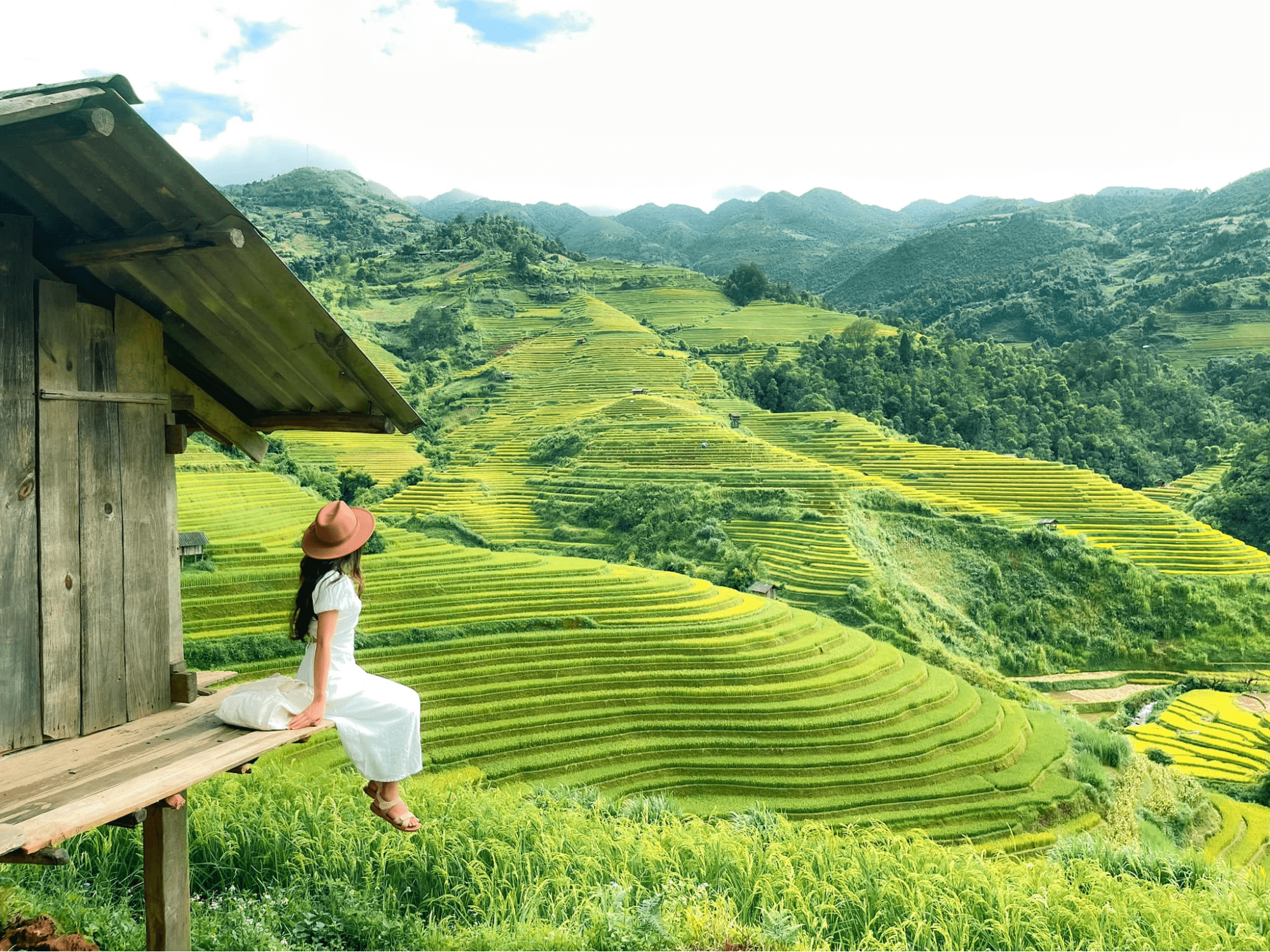Du lịch Yên Bái - Cánh đồng Mường Lò